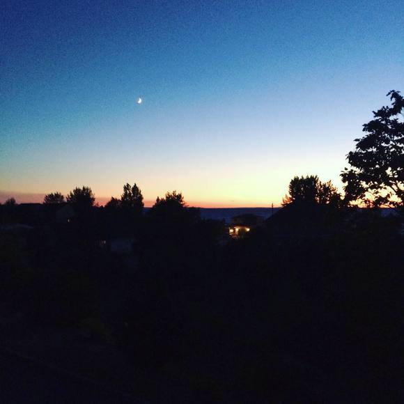 Meet your Posher, Sasha - Picture 1 of 1